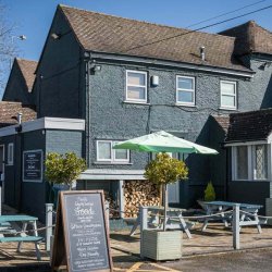 Punch predicts full-year profits of over £100m