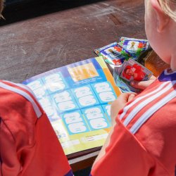 Signature Group launches World Cup sticker events