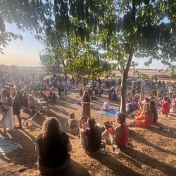 Pub eclipse party shuts down village