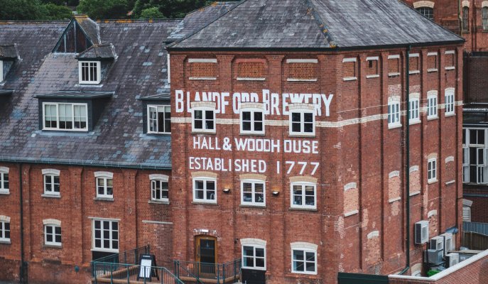 Hall & Woodhouse enjoys profitable year