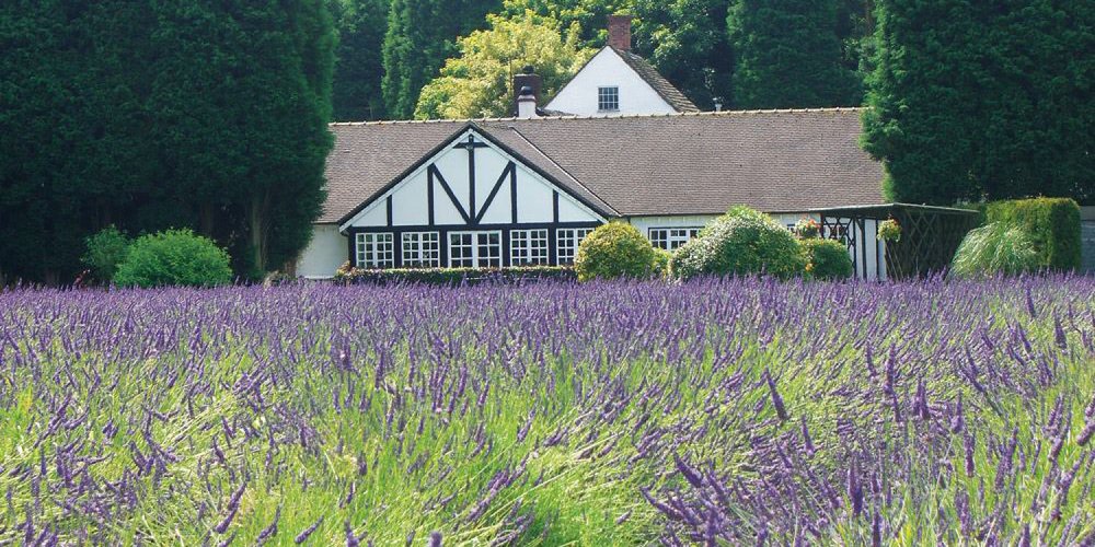 Robinsons acquires Cheshire site