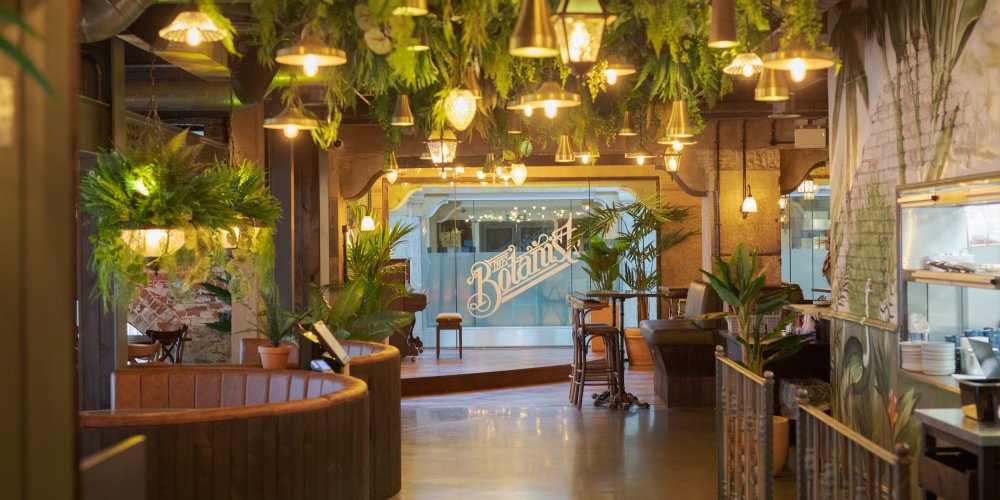 Botanist rebrands help lift NWTC's Christmas