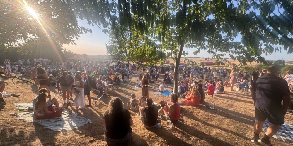 Pub eclipse party shuts down village